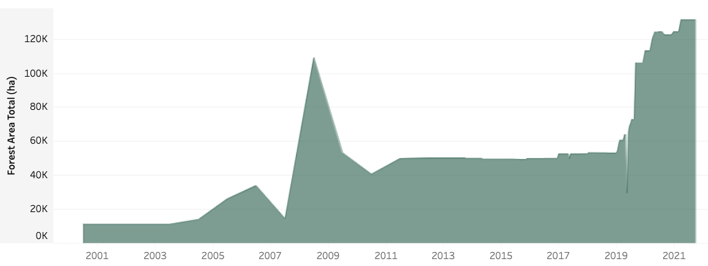 a graph of FM certified forest area in Czech Republic