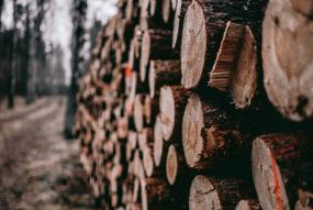 a stack of wooden logs