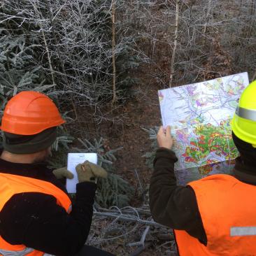 two CAB officers looking into a map of forest