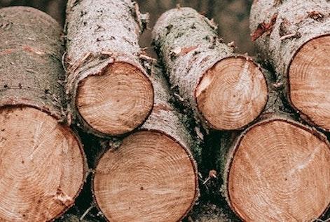 a pile of wooden logs