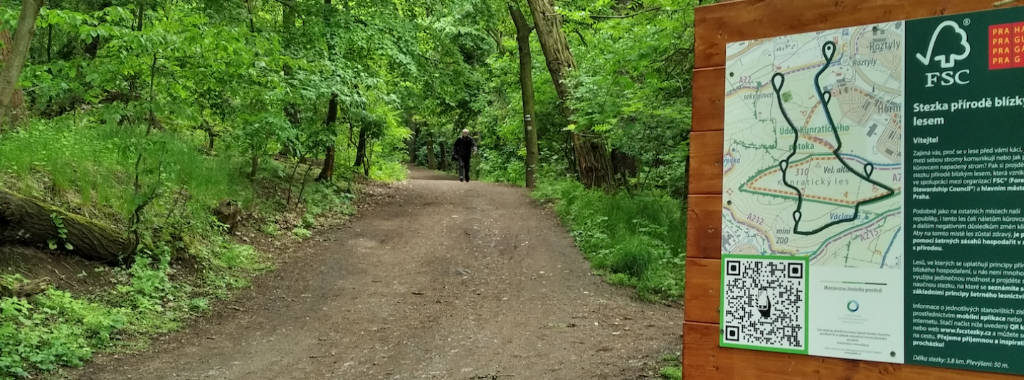 an FSC forest trail