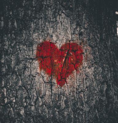 a red heart painted on the trunk of a tree