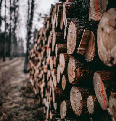 a stack of wooden logs