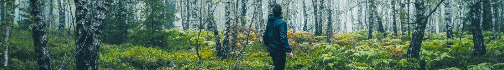 a photo of a man in a green lit forest