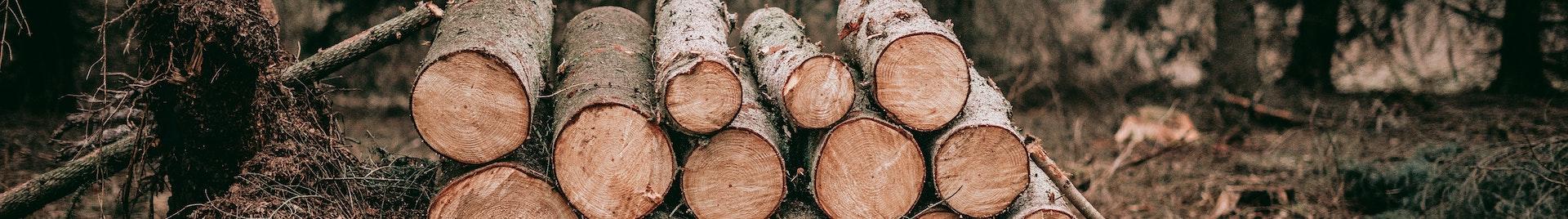 a pile of wooden logs