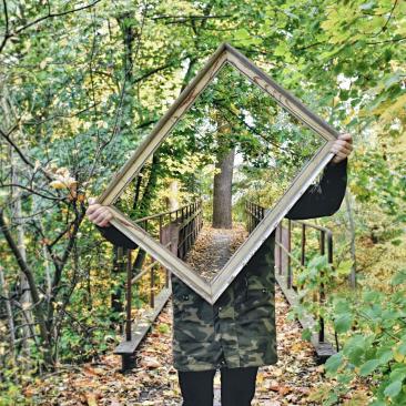 tree reflected in a mirror