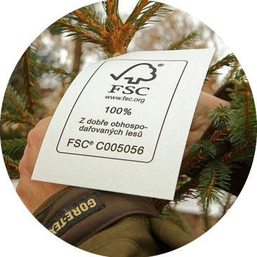 a picture of an FSC tag on a chrismas tree