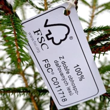 an FSC tag on a christmas tree